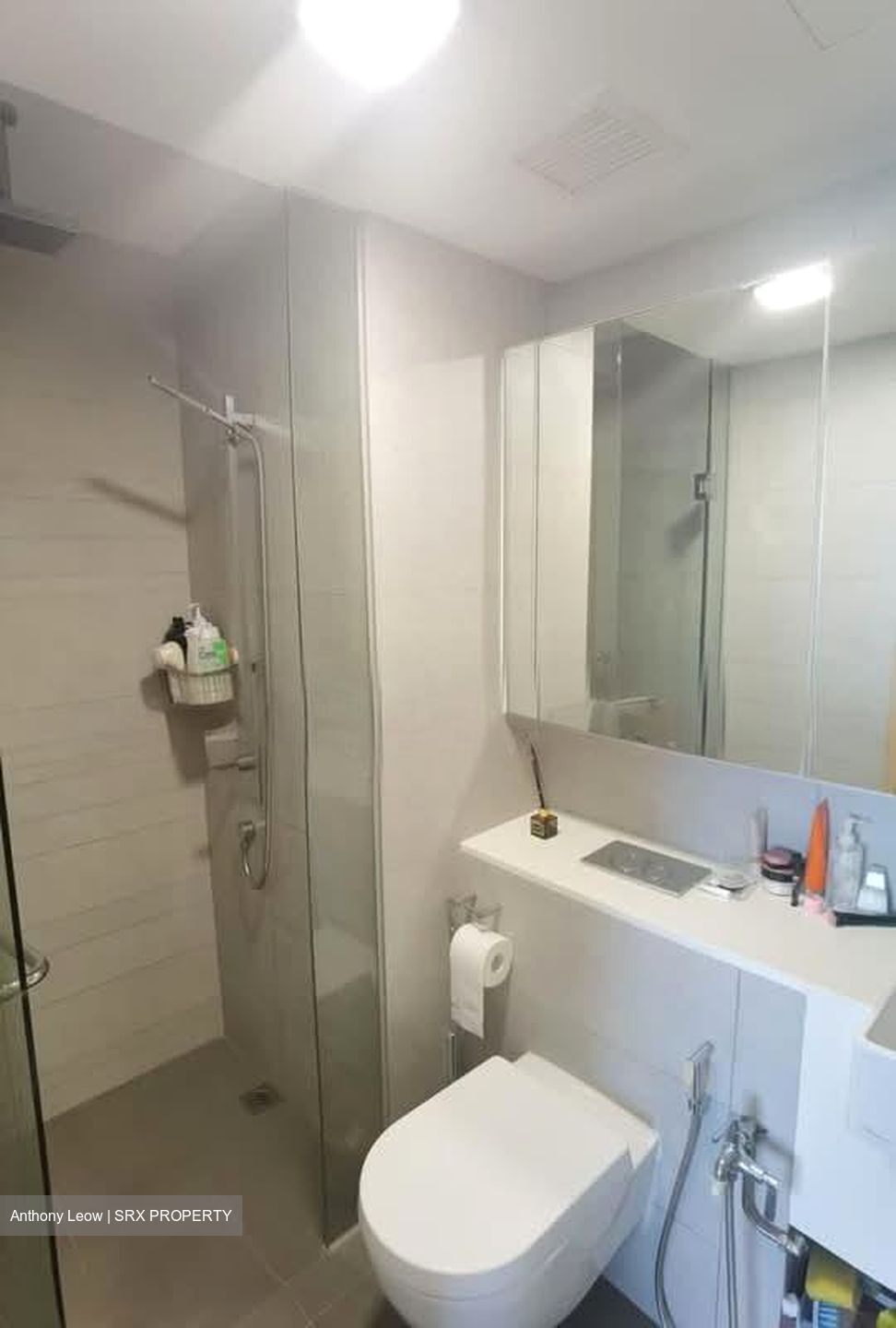 Eight Riversuites (D12), Condominium #596381881
